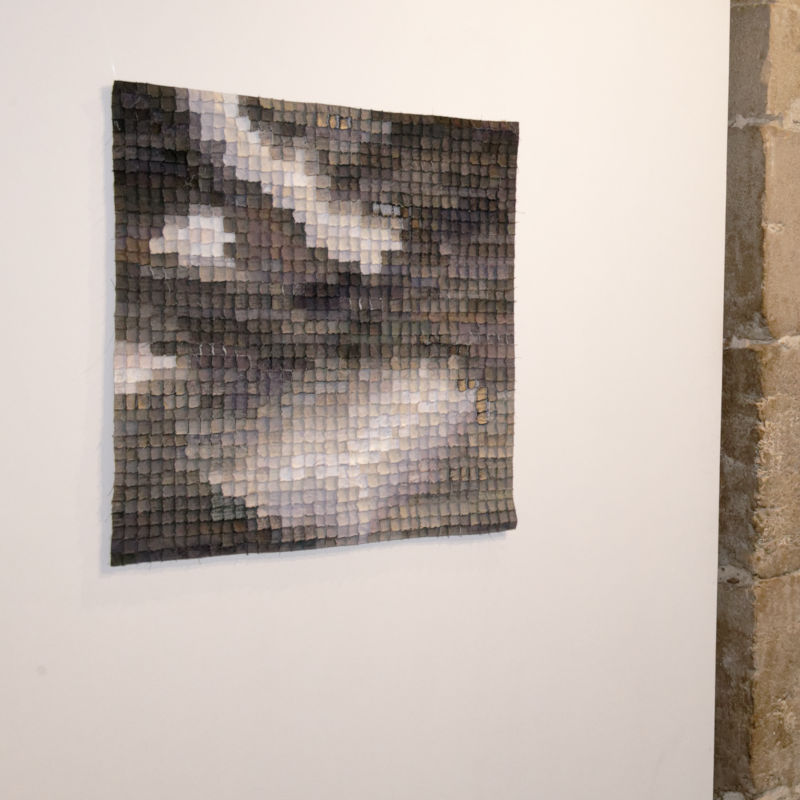 Boréale 296 - exposition - Sabine Cibert
